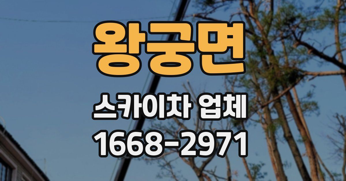 왕궁면 스카이차 업체