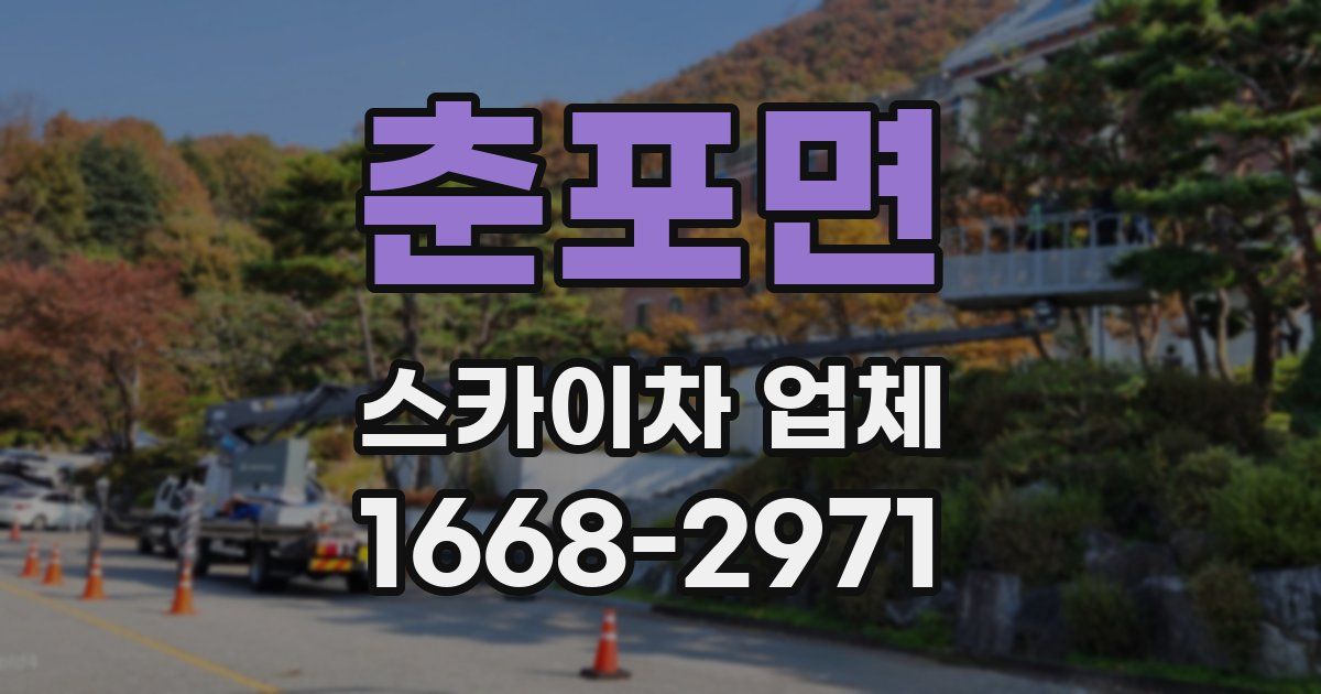 춘포면 스카이차 업체