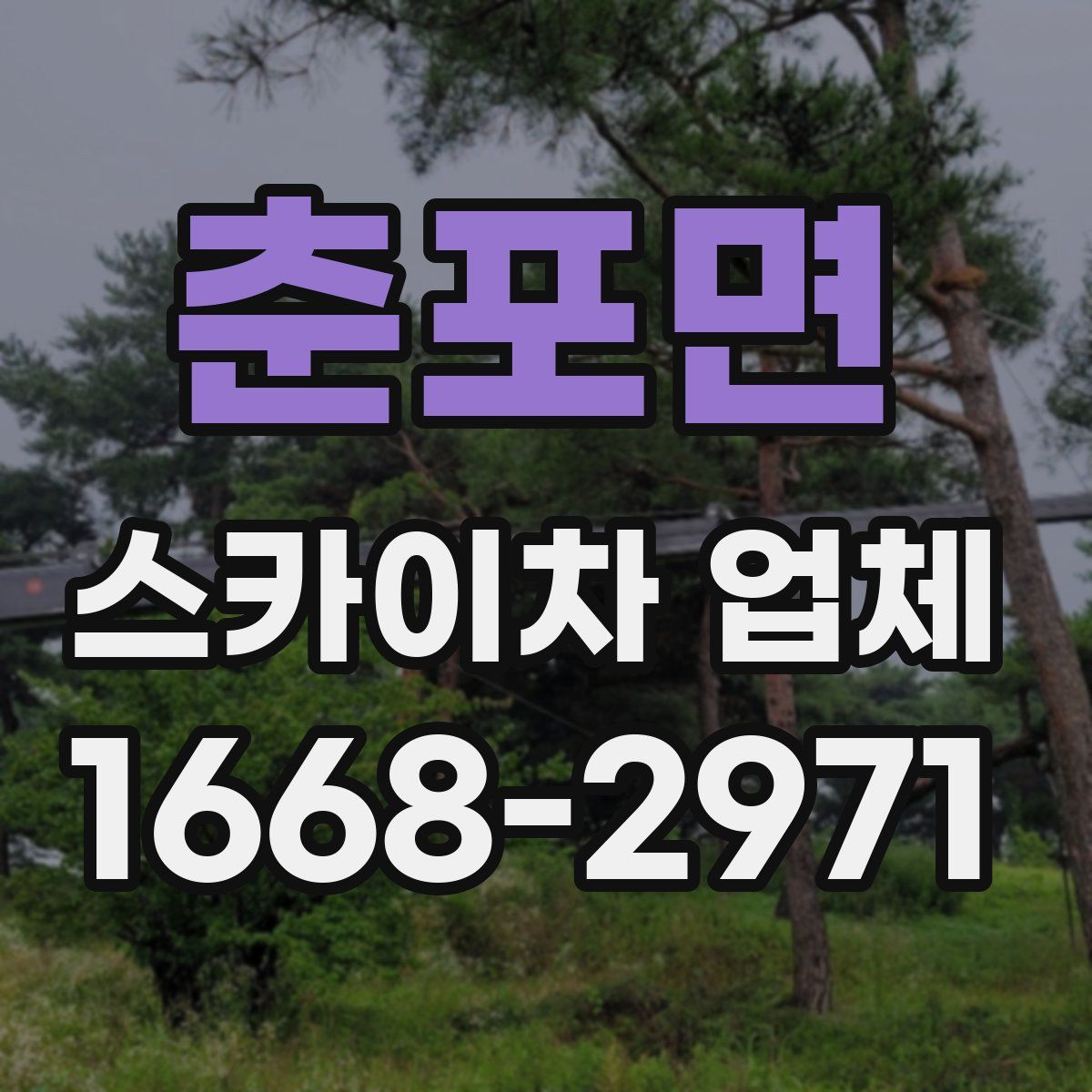 춘포면 스카이차 업체