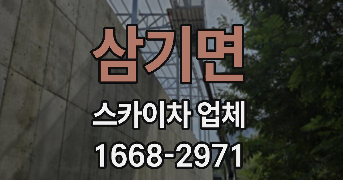 삼기면 스카이차 업체