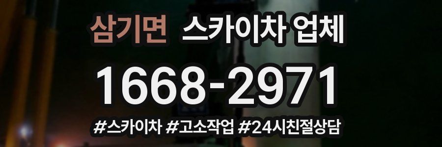 삼기면 스카이차 업체