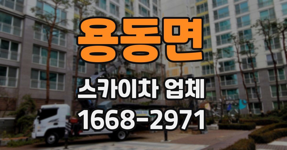 용동면 스카이차 업체