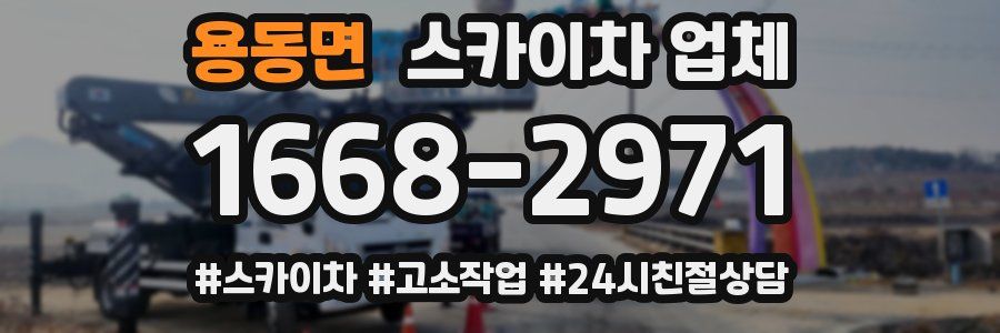 용동면 스카이차 업체