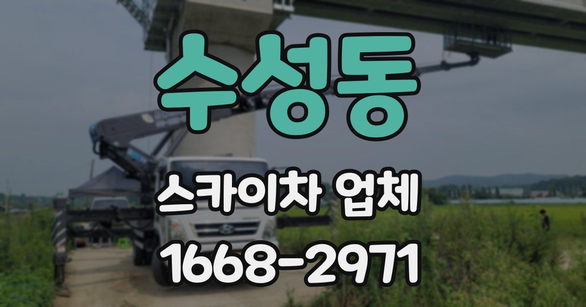 수성동 스카이차 업체