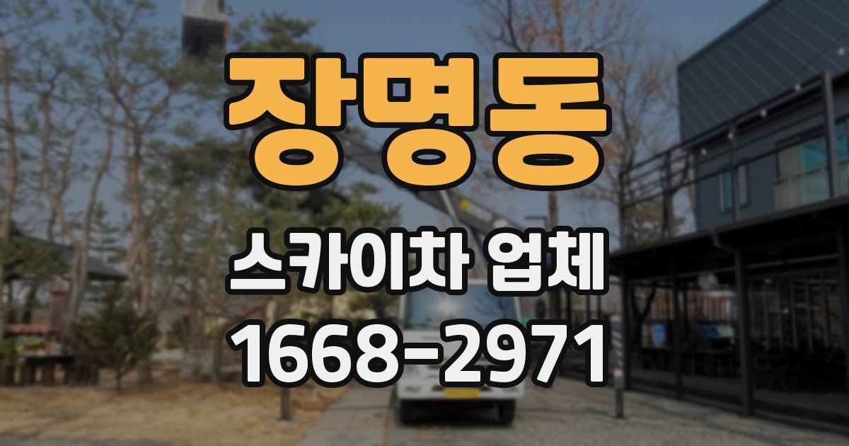 장명동 스카이차 업체