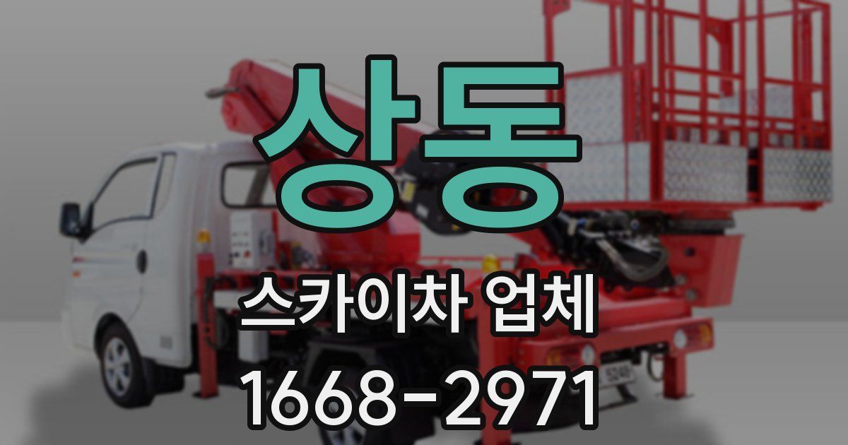 상동 스카이차 업체