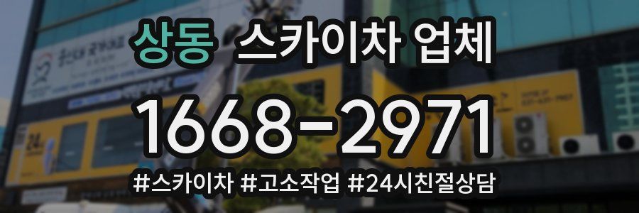 상동 스카이차 업체