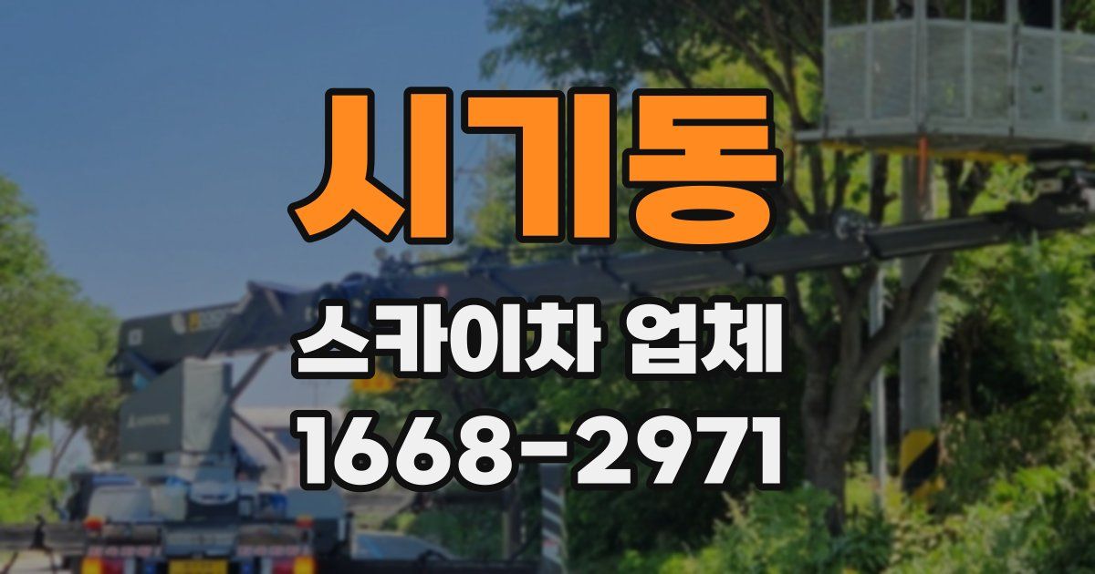 시기동 스카이차 업체
