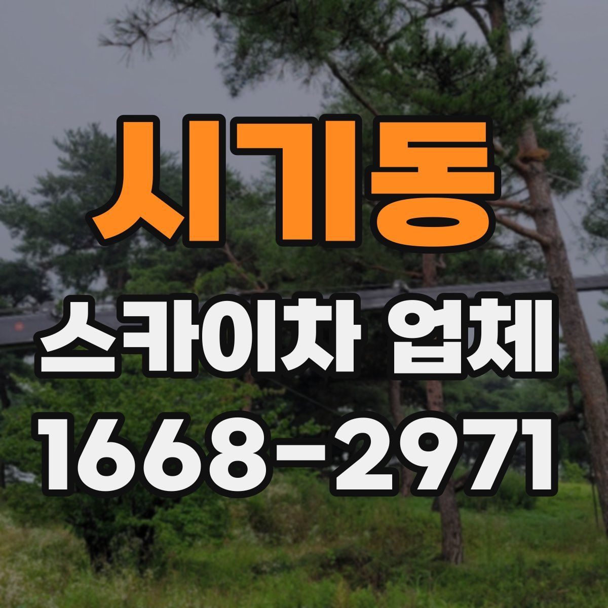 시기동 스카이차 업체