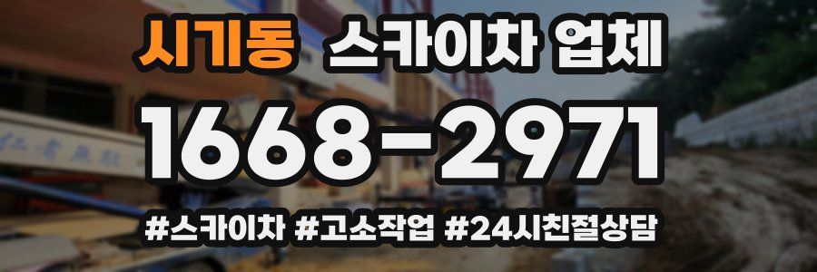 시기동 스카이차 업체