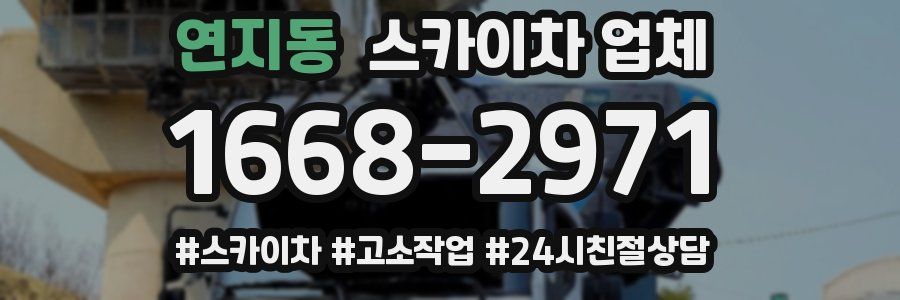 연지동 스카이차 업체