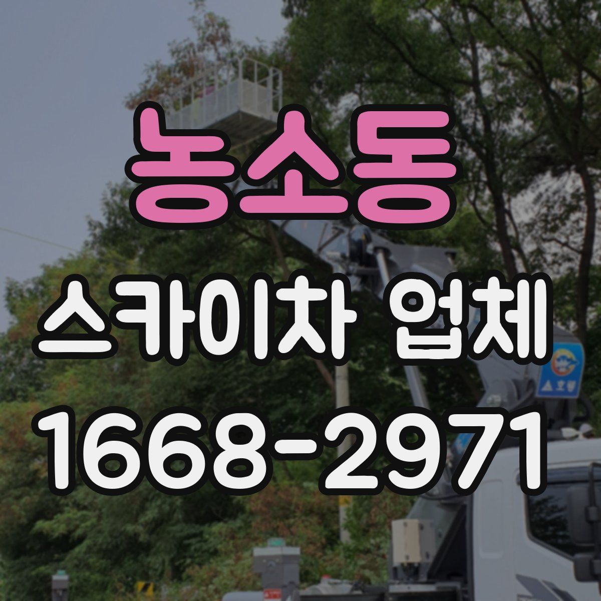 농소동 스카이차 업체