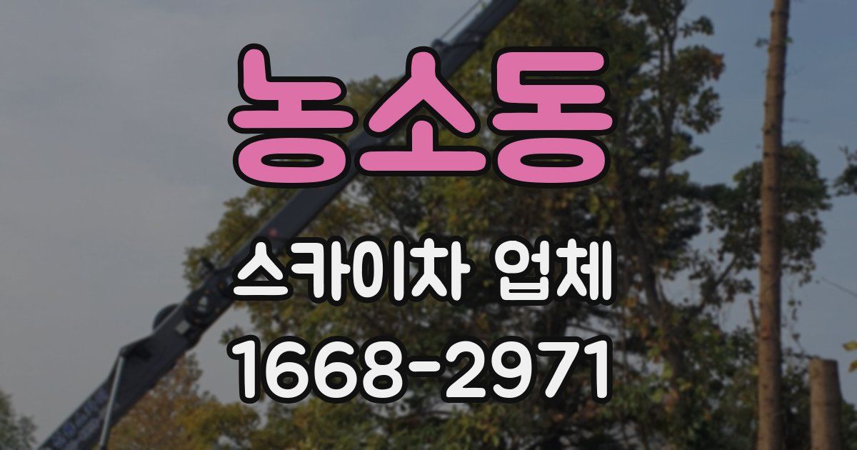농소동 스카이차 업체