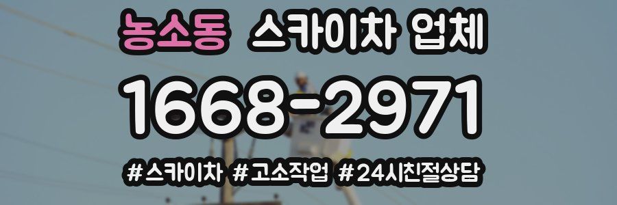 농소동 스카이차 업체