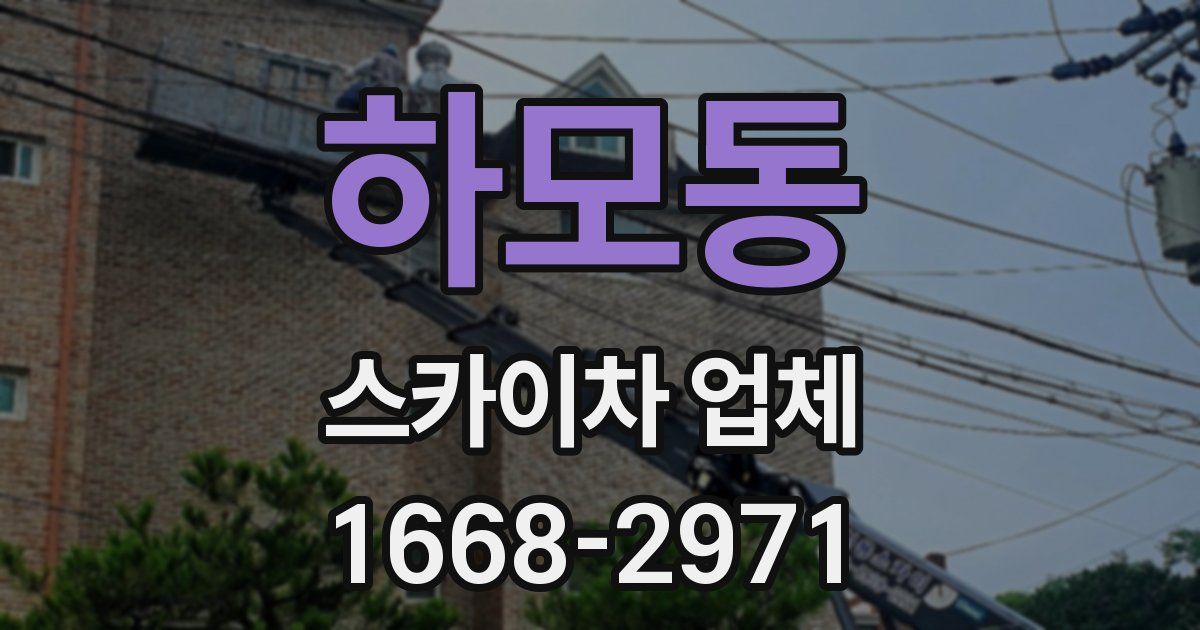 하모동 스카이차 업체