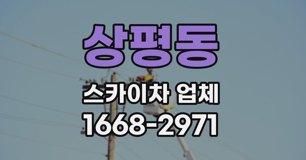 상평동 스카이차 업체