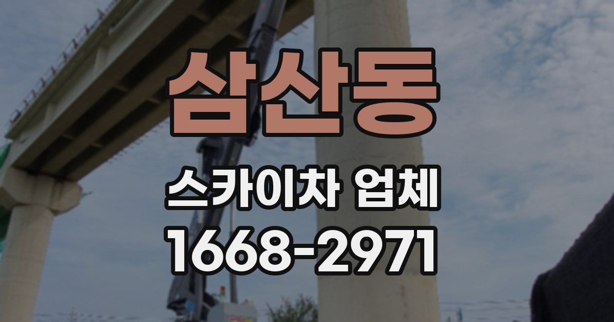 삼산동 스카이차 업체
