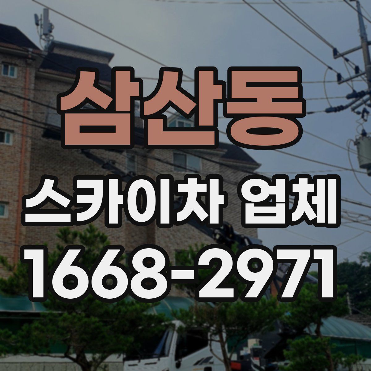 삼산동 스카이차 업체