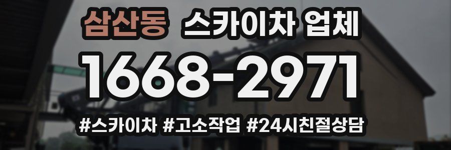 삼산동 스카이차 업체
