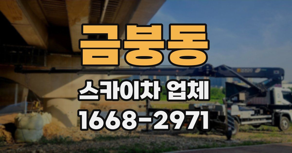 금붕동 스카이차 업체