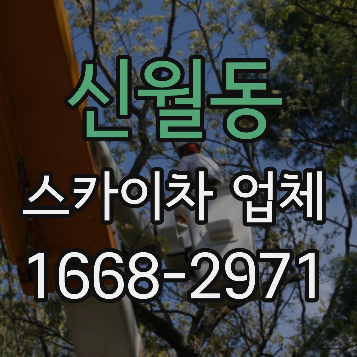 신월동 스카이차 업체