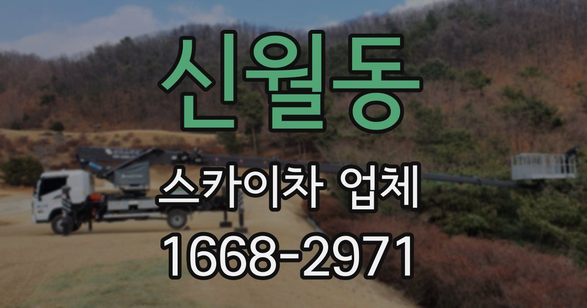 신월동 스카이차 업체