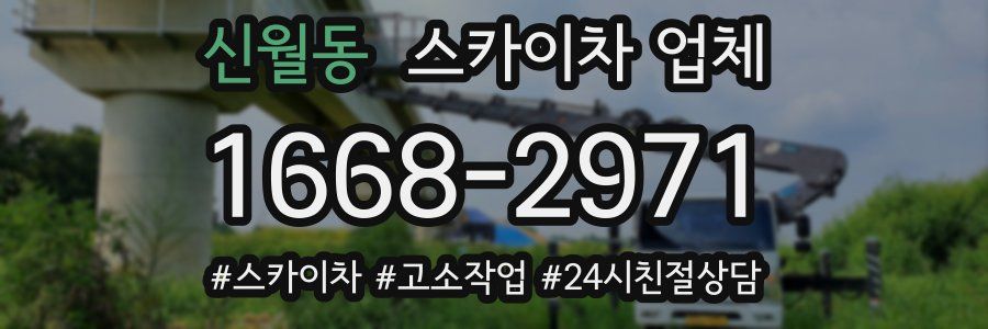신월동 스카이차 업체