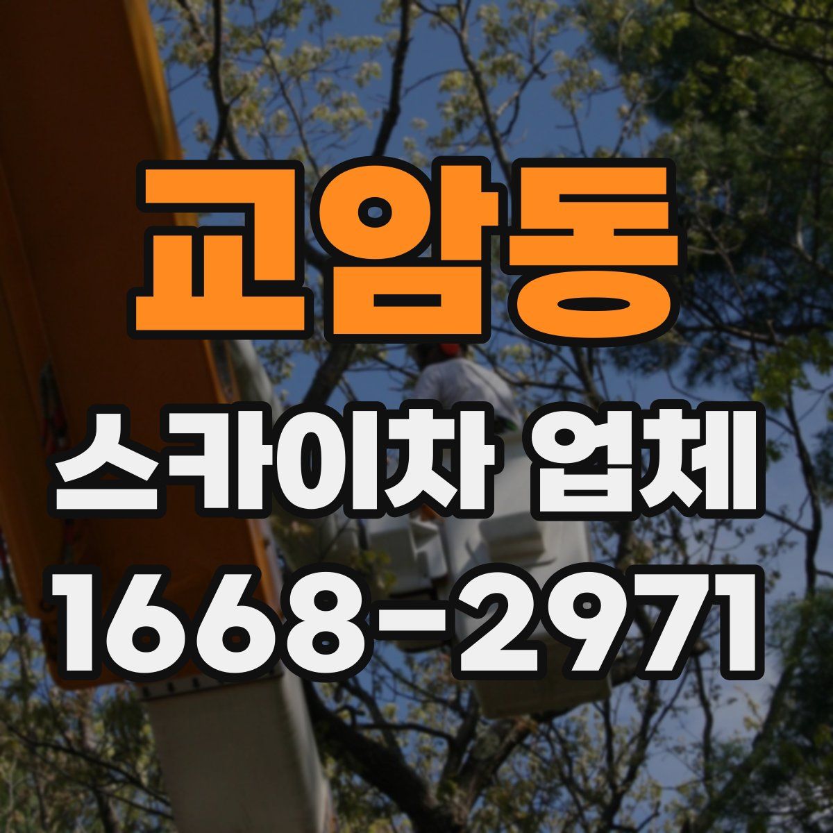 교암동 스카이차 업체