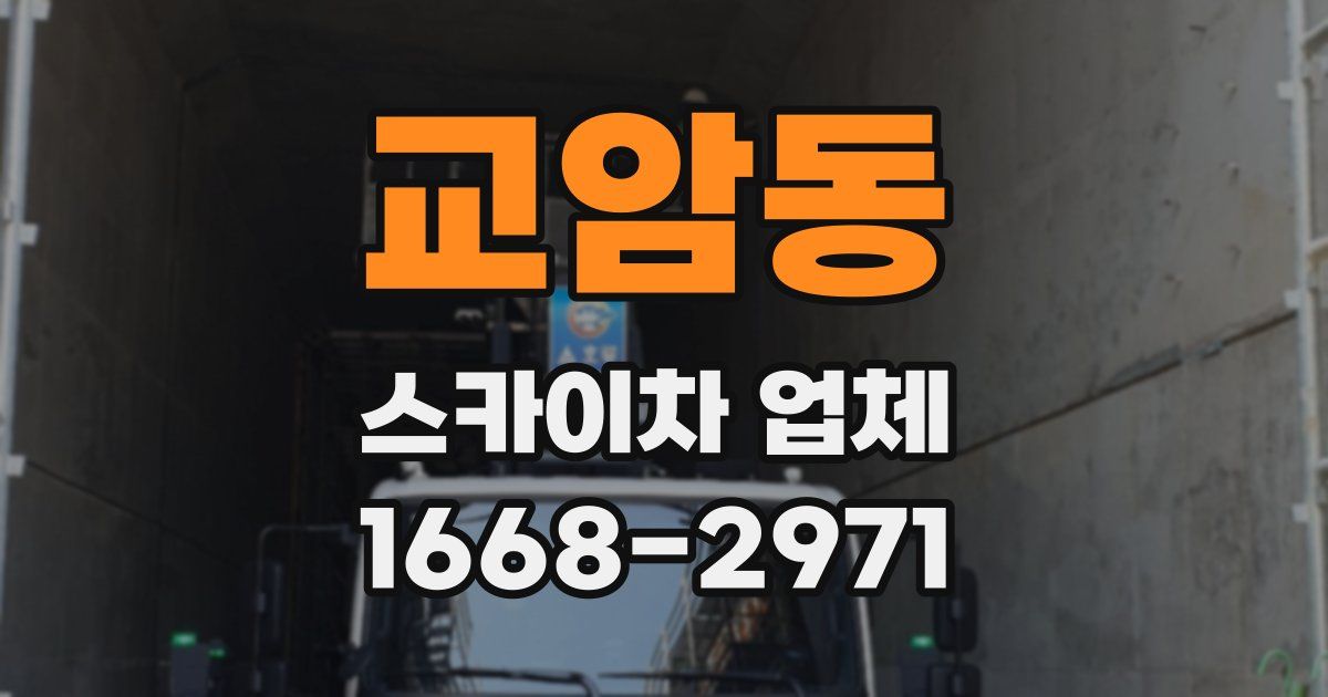 교암동 스카이차 업체