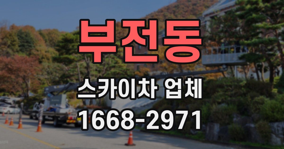 부전동 스카이차 업체