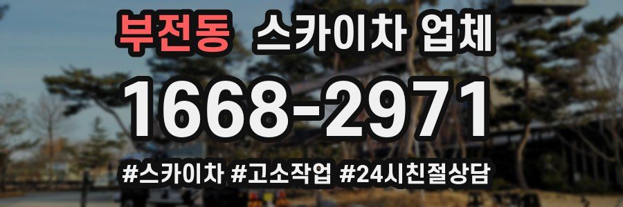 부전동 스카이차 업체