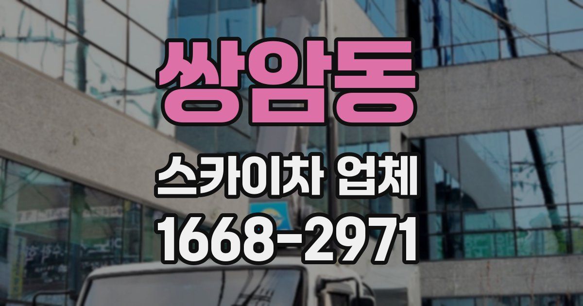 쌍암동 스카이차 업체