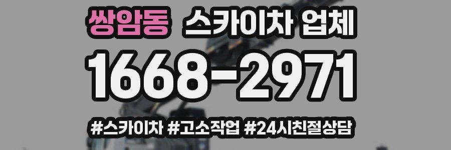 쌍암동 스카이차 업체