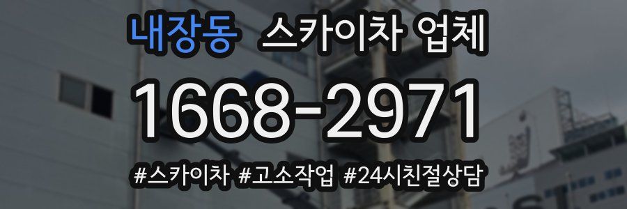 내장동 스카이차 업체