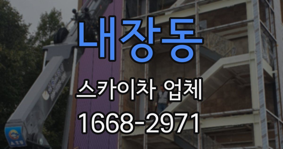 내장동 스카이차 업체