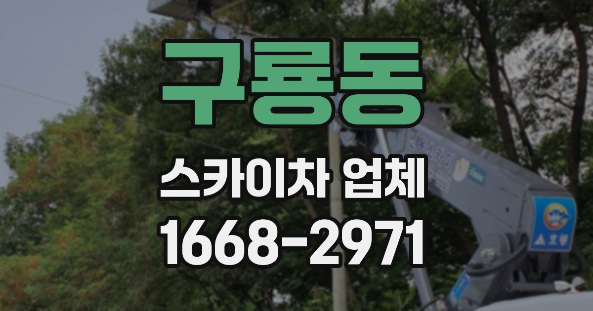 구룡동 스카이차 업체