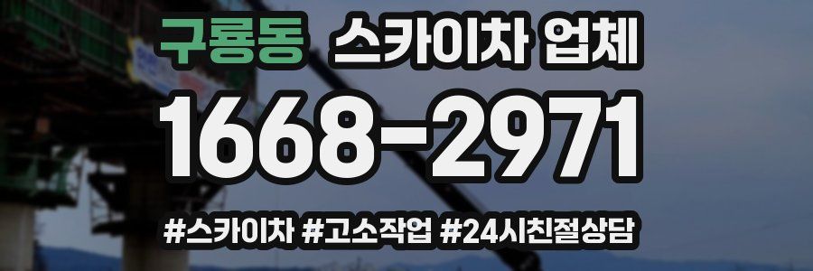 구룡동 스카이차 업체