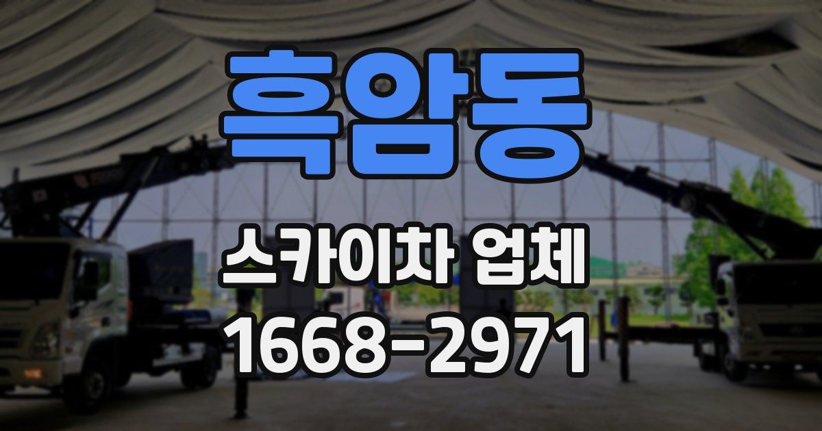 흑암동 스카이차 업체