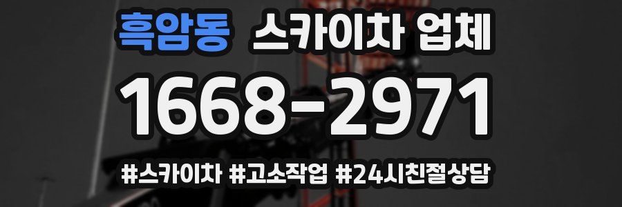 흑암동 스카이차 업체
