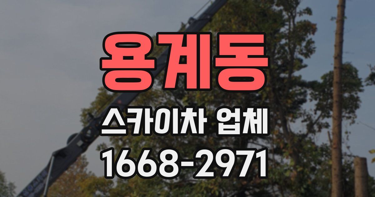 용계동 스카이차 업체