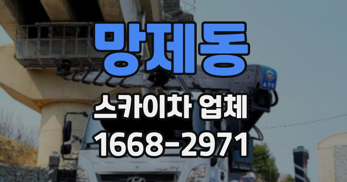 망제동 스카이차 업체