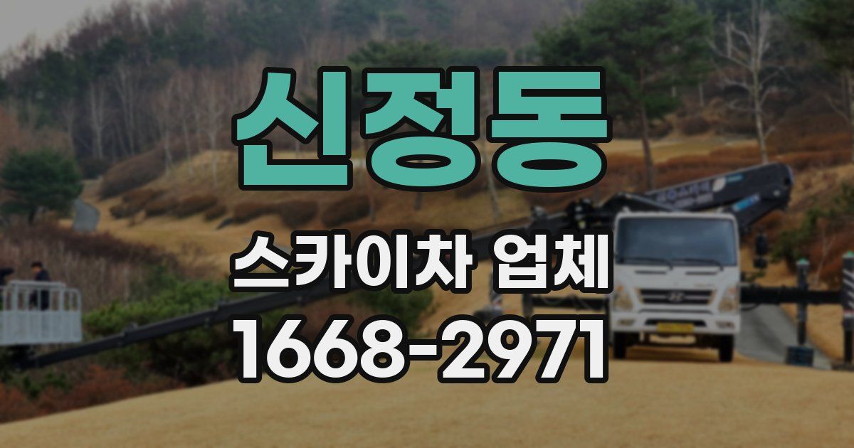 신정동 스카이차 업체