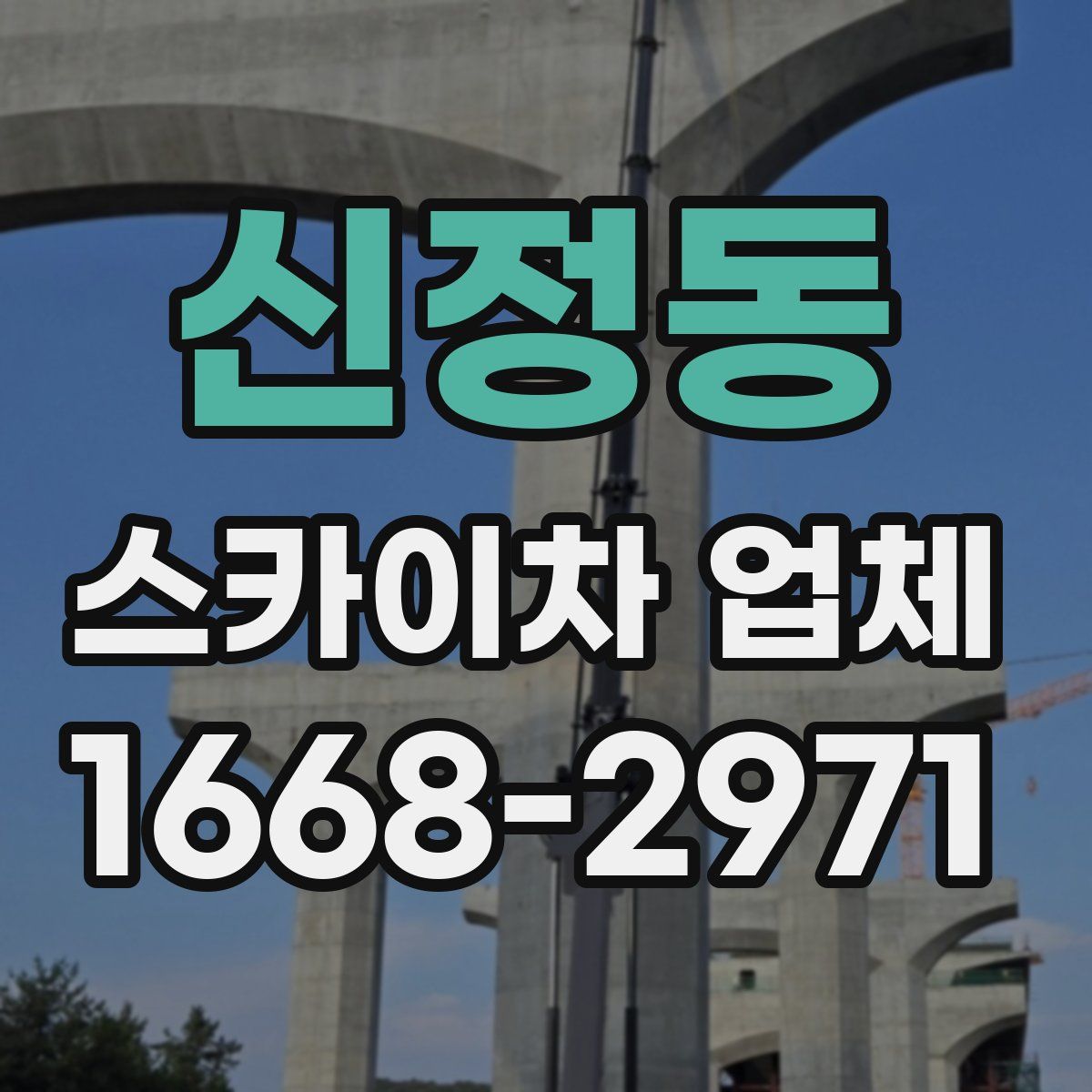 신정동 스카이차 업체