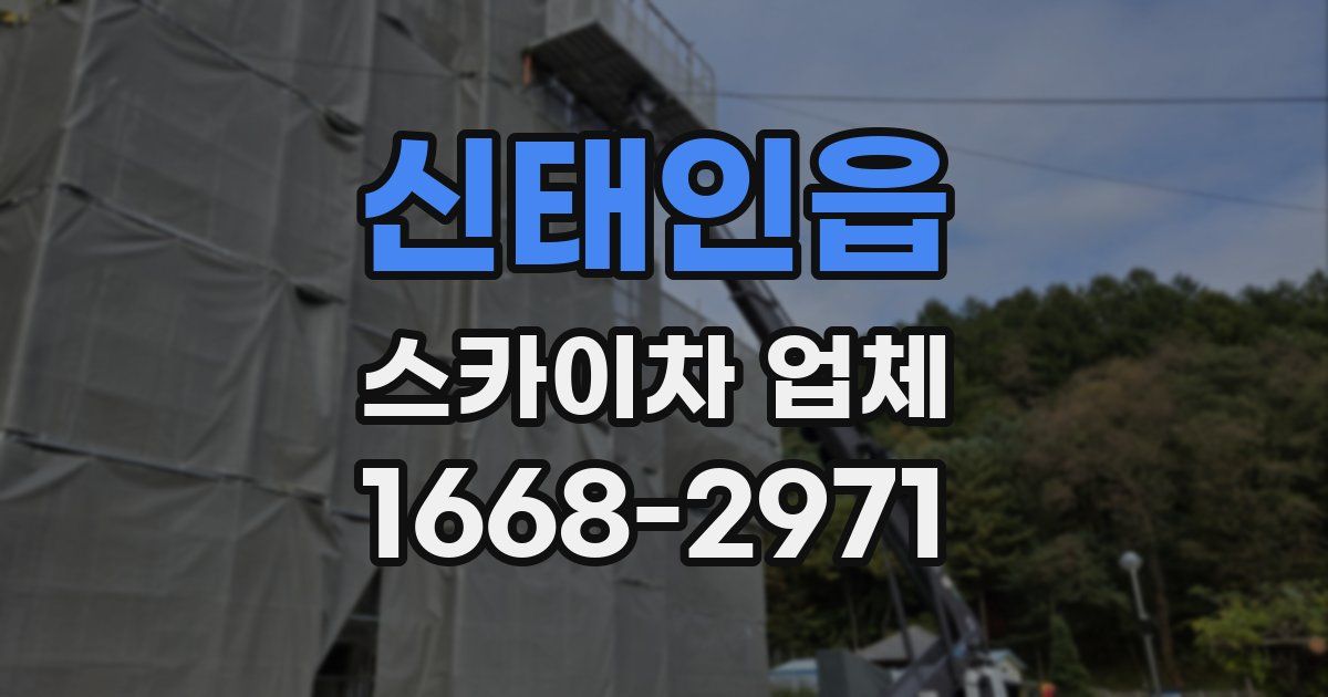 신태인읍 스카이차 업체