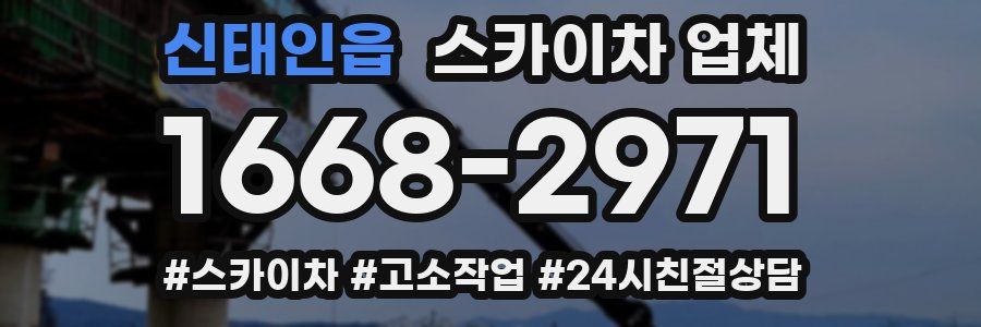 신태인읍 스카이차 업체
