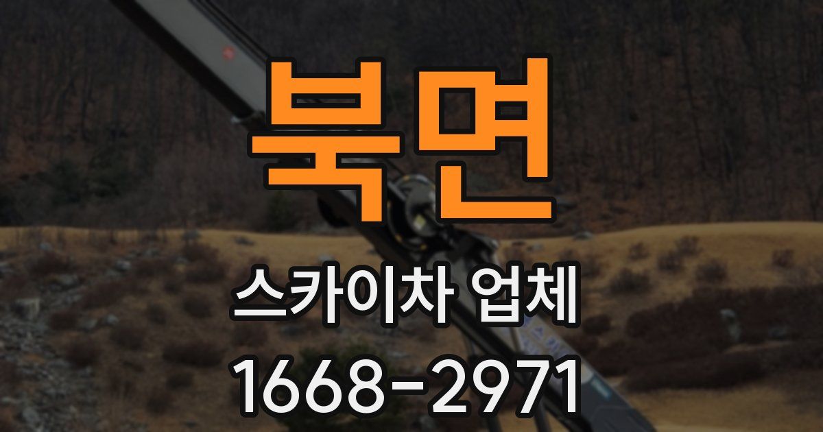 북면 스카이차 업체