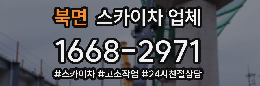 북면 스카이차 업체