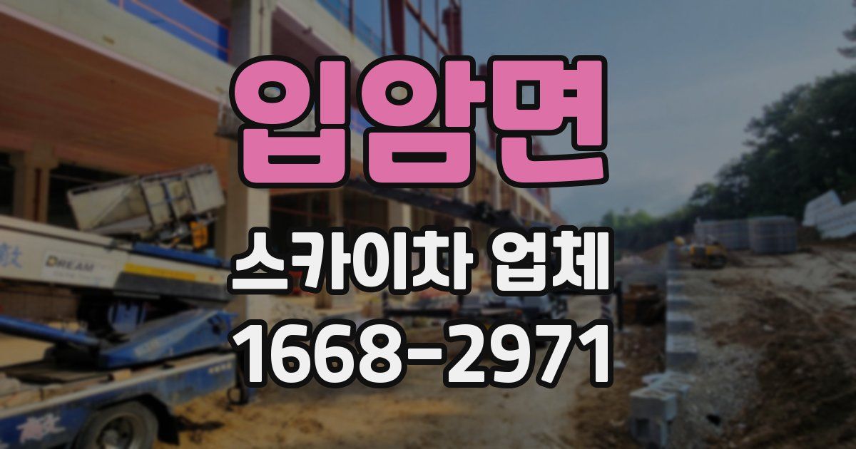 입암면 스카이차 업체