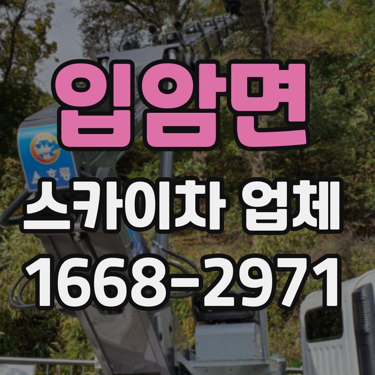 입암면 스카이차 업체
