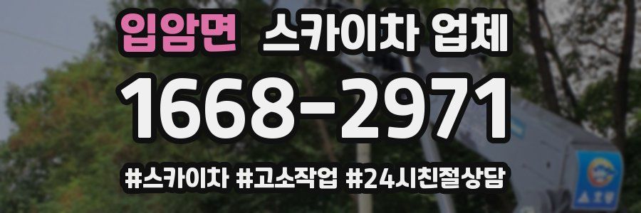 입암면 스카이차 업체